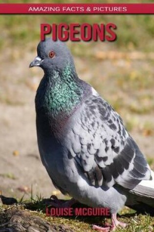 Cover of Pigeons