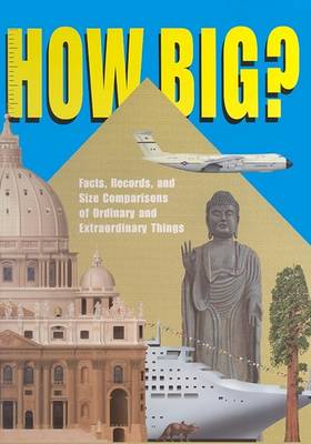 Book cover for How Big?