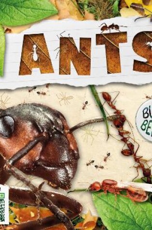 Cover of Ants