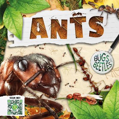 Cover of Ants