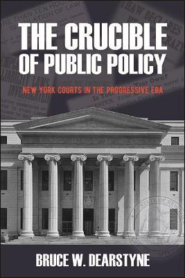 Book cover for The Crucible of Public Policy