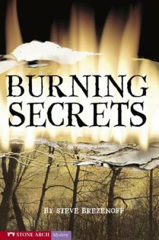 Cover of Burning Secrets