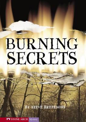 Cover of Burning Secrets