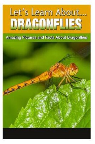 Cover of Dragonflies