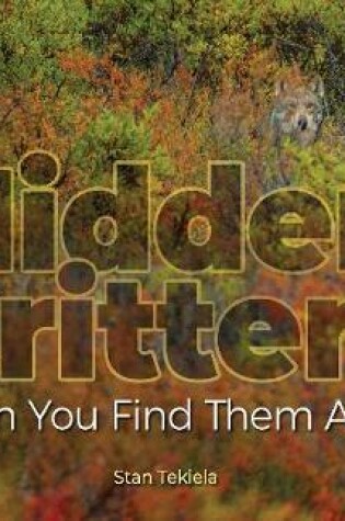 Cover of Hidden Critters
