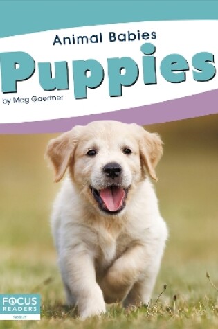 Cover of Animal Babies: Puppies