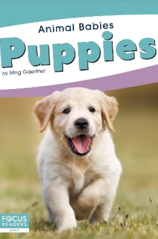 Cover of Puppies