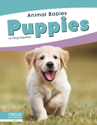 Book cover for Puppies