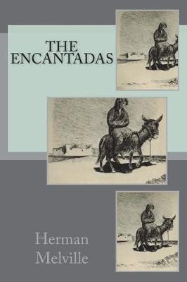 Book cover for The Encantadas