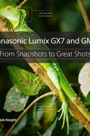 Cover of Panasonic Lumix GX7 and GM1
