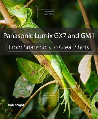 Book cover for Panasonic Lumix GX7 and GM1