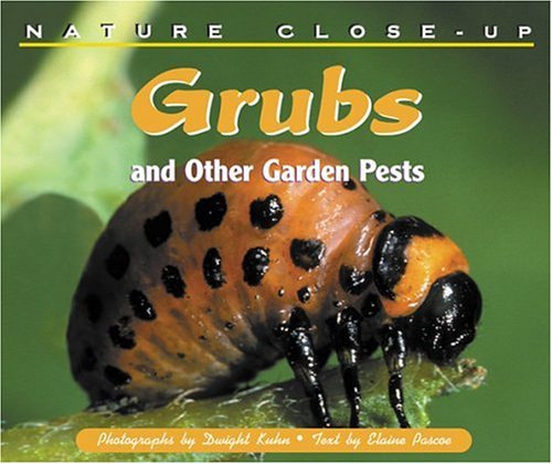 Book cover for Grubs and Other Garden Pests
