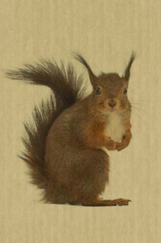 Cover of Squirrel