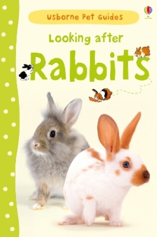 Cover of Looking after Rabbits
