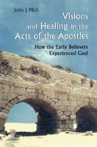 Cover of Visions and Healing in the Acts of the Apostles