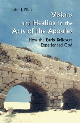 Book cover for Visions and Healing in the Acts of the Apostles