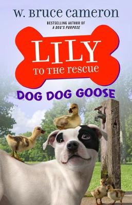 Book cover for Lily to the Rescue: Dog Dog Goose