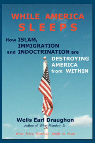 Cover of While America Sleeps
