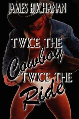 Cover of Twice the Cowboy, Twice the Ride