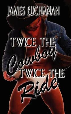 Book cover for Twice the Cowboy, Twice the Ride