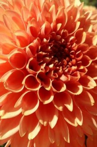 Cover of Pink Dahlia Blooming, for the Love of Flowers