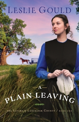 Book cover for A Plain Leaving