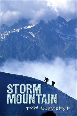 Book cover for Storm Mountain