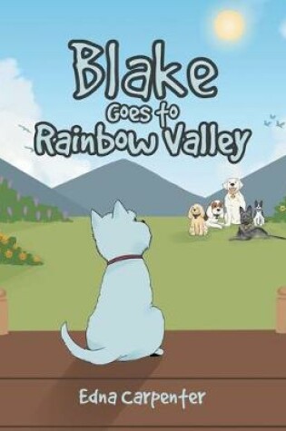 Cover of Blake Goes to Rainbow Valley