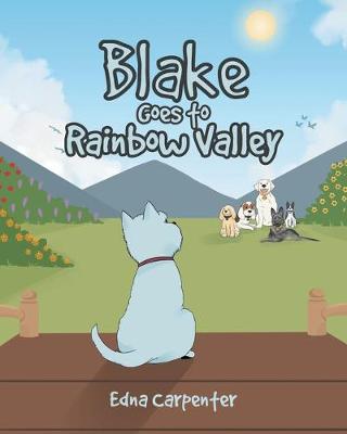 Book cover for Blake Goes to Rainbow Valley
