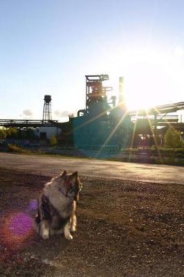 Book cover for A Keeshond Dog Looking Back at the Setting Sun Journal