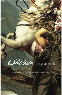 Book cover for Holderlin