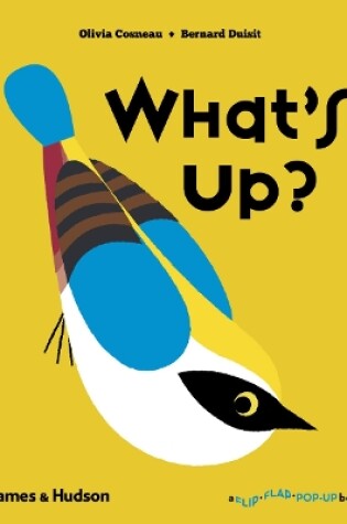 Cover of What's Up?