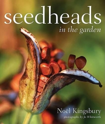 Book cover for Seedheads in the Garden