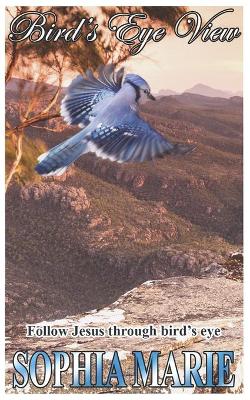 Book cover for Birds Eye View