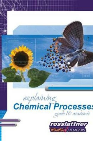 Cover of Explaining Chemical Processes