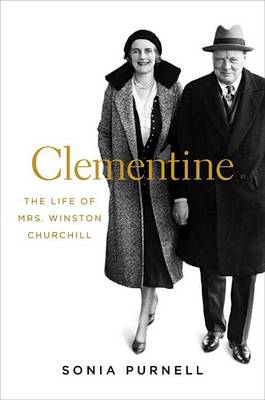 Book cover for Clementine