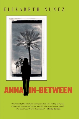 Book cover for Anna In-between