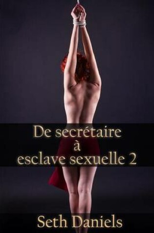 Cover of de Secretaire a Esclave Sexuelle 2