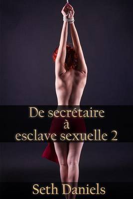 Book cover for de Secretaire a Esclave Sexuelle 2