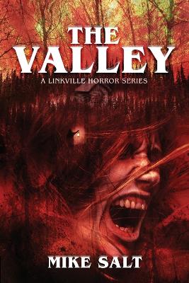 Book cover for The Valley