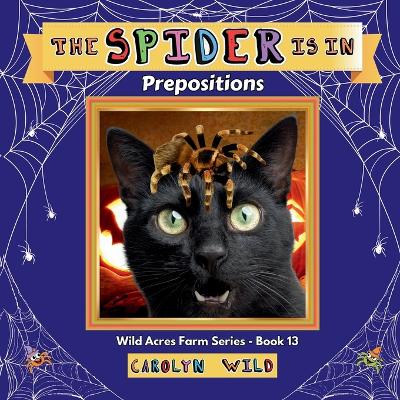 Cover of The Spider Is In