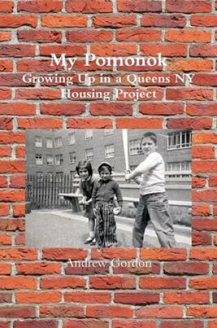 Cover of My Pomonok: Growing Up in a Queens Ny Housing Project