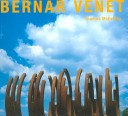 Book cover for Bernar Venet