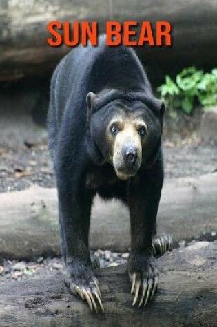 Cover of Sun Bear