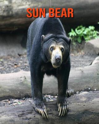 Book cover for Sun Bear