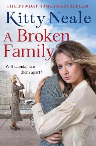 Cover of A Broken Family