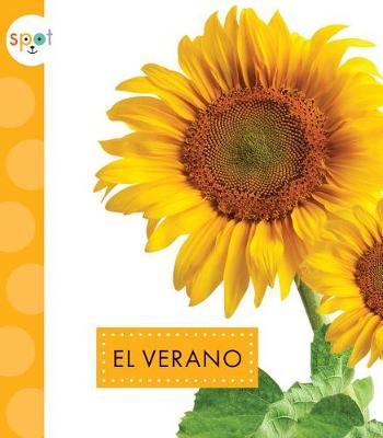 Book cover for El Verano