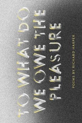 Book cover for What Do We Owe The Pleasure?