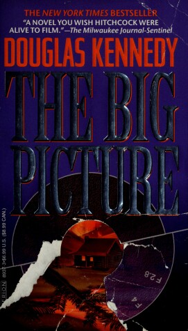 Book cover for The Big Picture