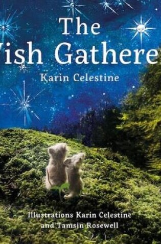 Cover of The Wish Gatherers